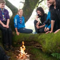 Helen Glover and a group of Scouts sit in a tree near a campfire.