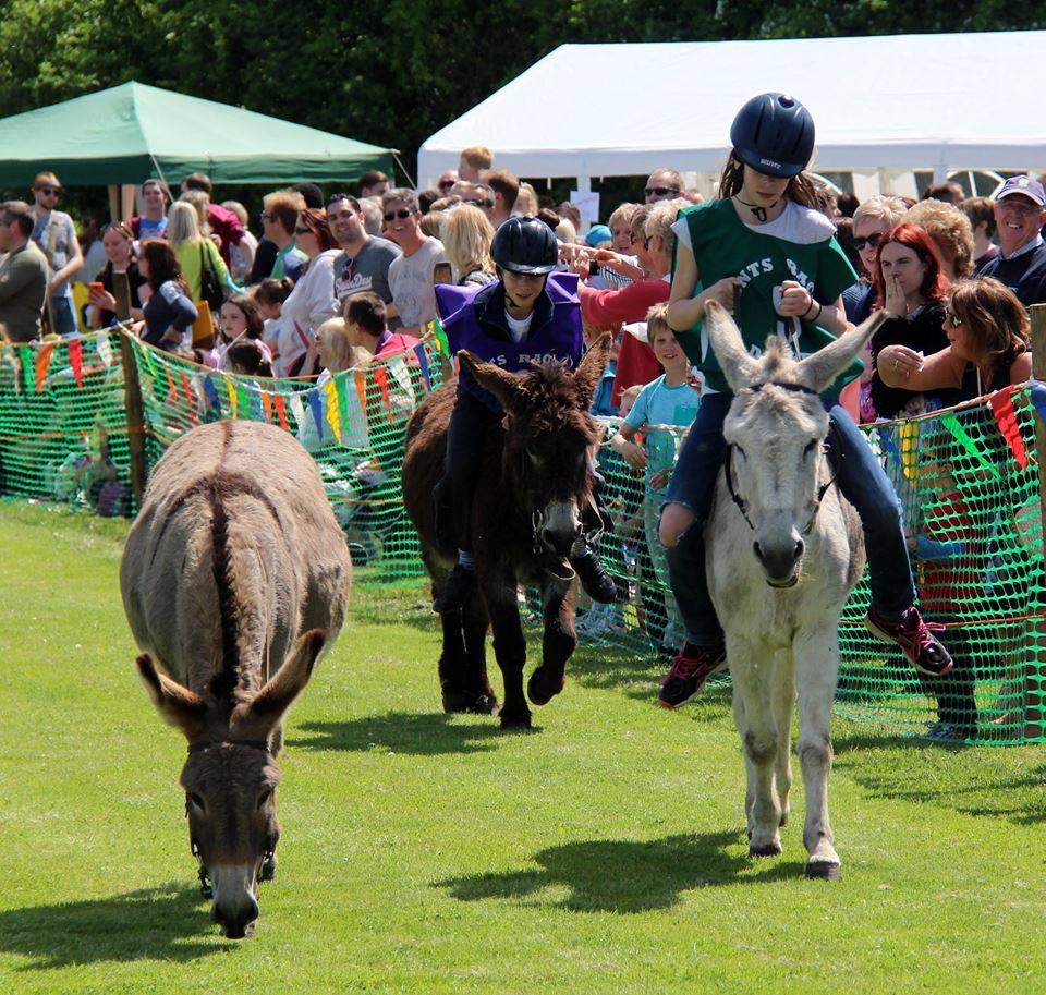 Two young people ride on donkeys at the Totton and Eling Donkey Derby